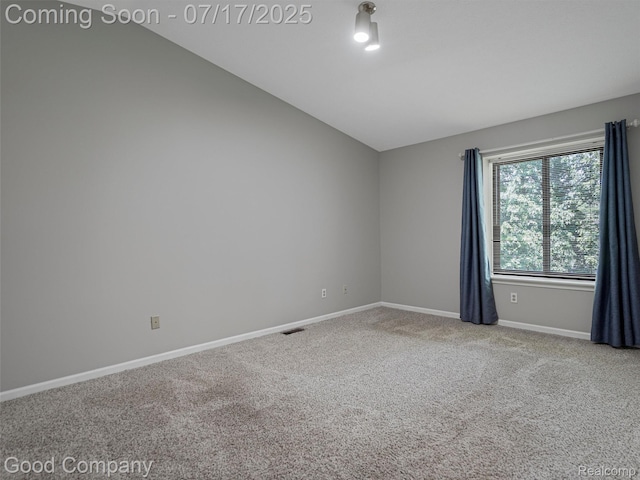 426 Forest Dr, Brighton, MI 48116 - photo 19