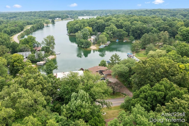 180 S Lake Doster Dr, Plainwell, MI 49080 - photo 3