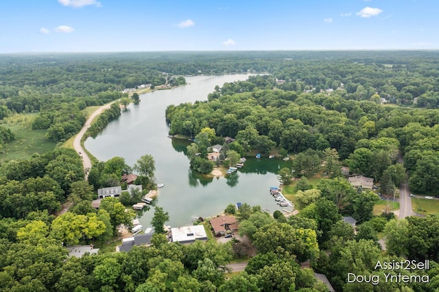 180 S Lake Doster Dr, Plainwell, MI 49080 - photo 29