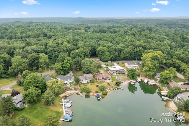 180 S Lake Doster Dr, Plainwell, MI 49080 - photo 30