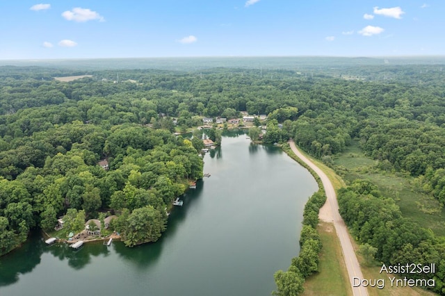 180 S Lake Doster Dr, Plainwell, MI 49080 - photo 32
