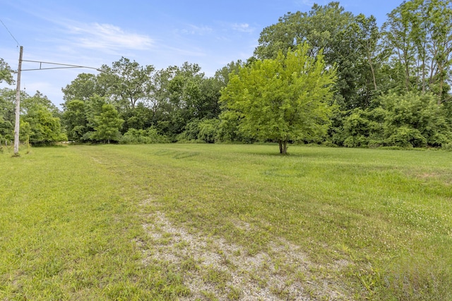 622 Tromley St, Inkster, MI 48141 - view of green lawn