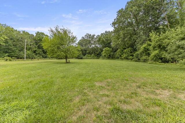 622 Tromley St, Inkster, MI 48141 - view of grassy yard with a forest view
