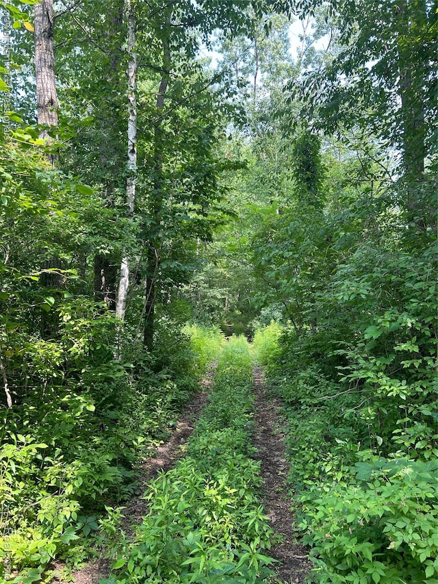 0 Chambers Rd, Mayville, MI 48744 - photo 1
