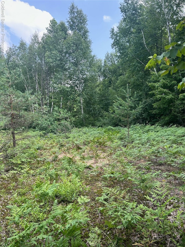 0 Chambers Rd, Mayville, MI 48744 - photo 3