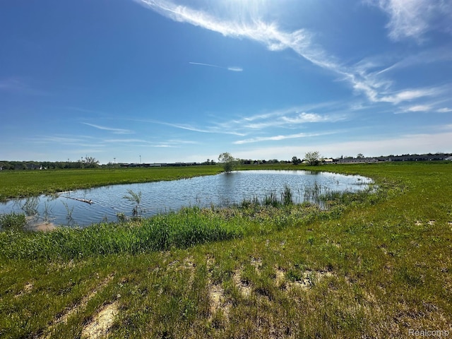 MOH45 Birkdale Dr Unit 45, Howell, MI 48843 - water view