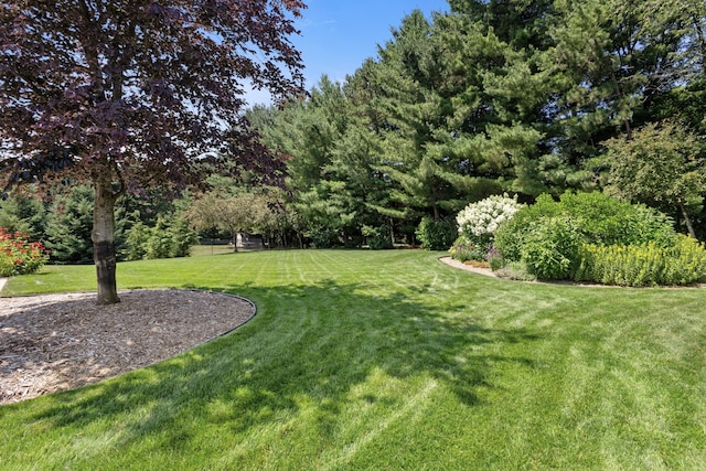 3609 Kelfrey Cv, Kalamazoo, MI 49009 - photo 46
