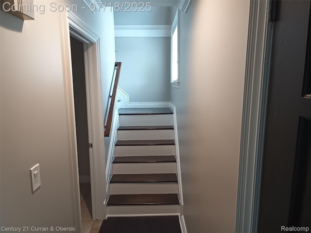 43450 Fredericksburg St N, Canton, MI 48188 - photo 32