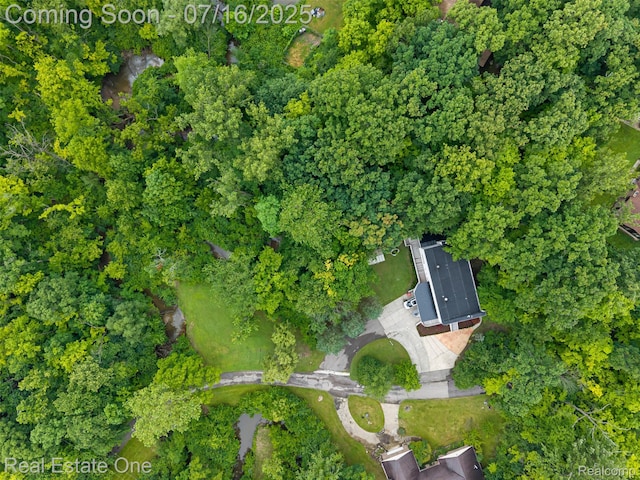 29230 Wildbrook Dr, Southfield, MI 48034 - photo 52
