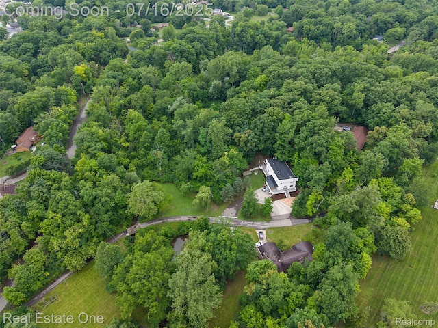 29230 Wildbrook Dr, Southfield, MI 48034 - photo 53