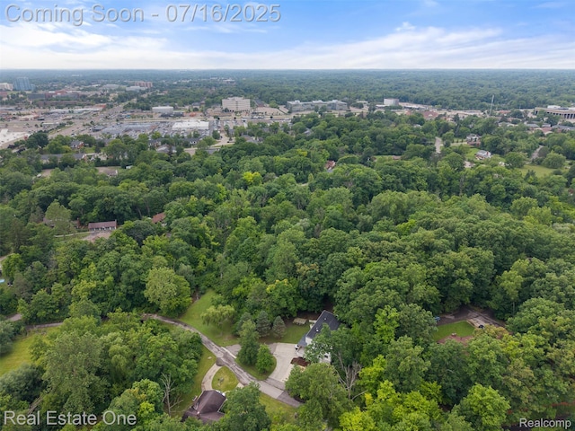 29230 Wildbrook Dr, Southfield, MI 48034 - photo 54