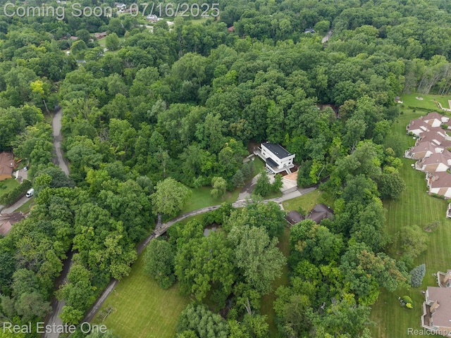 29230 Wildbrook Dr, Southfield, MI 48034 - photo 56