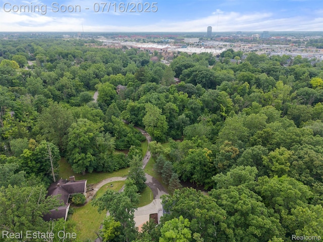 29230 Wildbrook Dr, Southfield, MI 48034 - photo 58