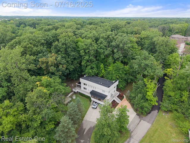 29230 Wildbrook Dr, Southfield, MI 48034 - photo 59
