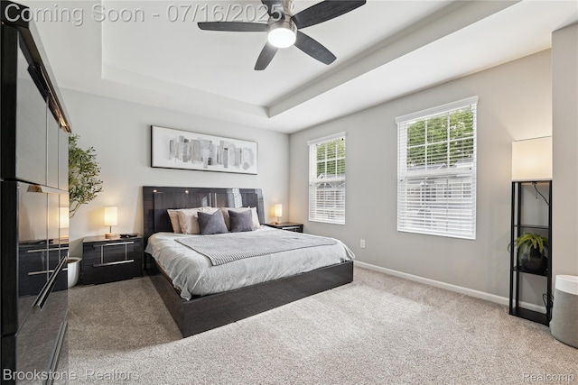 765 Hummingbird Dr, Rochester Hills, MI 48307 - carpeted bedroom with a raised ceiling and a ceiling fan