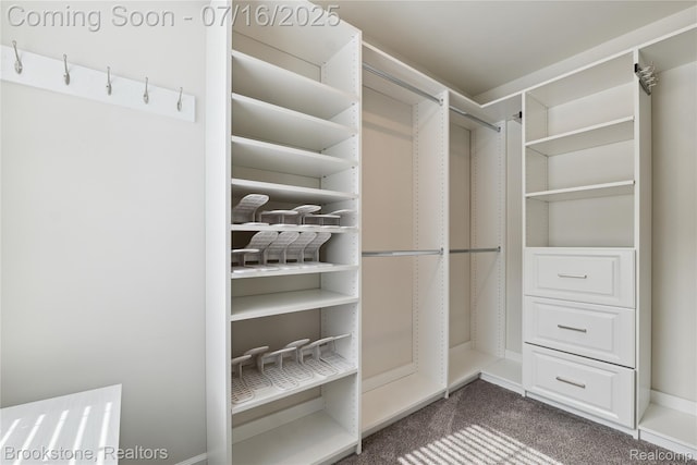 765 Hummingbird Dr, Rochester Hills, MI 48307 - walk in closet featuring carpet floors
