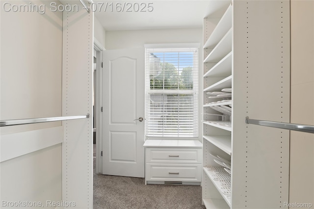 765 Hummingbird Dr, Rochester Hills, MI 48307 - spacious closet featuring light carpet
