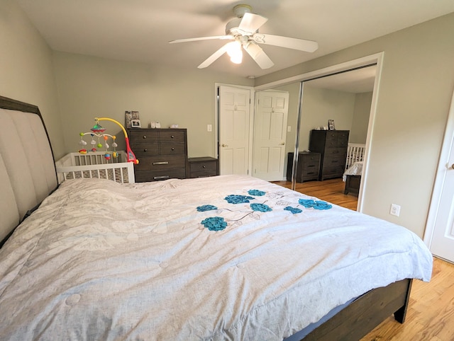 20519 Mauer St, Saint Clair Shores, MI 48080 - bedroom with wood finished floors, a ceiling fan, and a closet