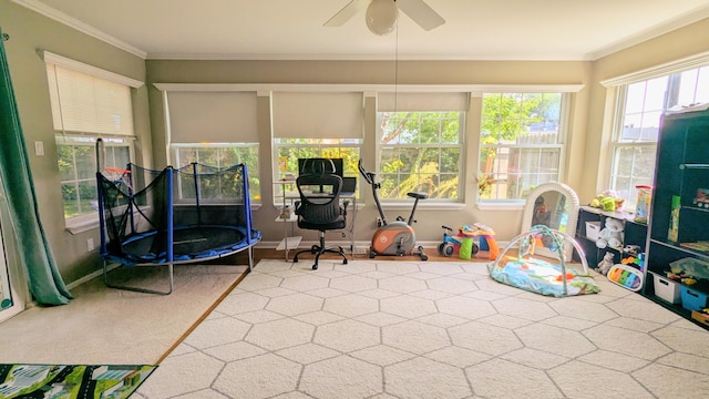20519 Mauer St, Saint Clair Shores, MI 48080 - sunroom / solarium with ornamental molding and carpet
