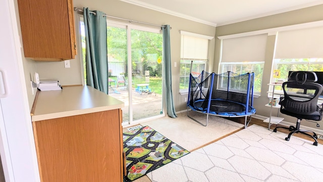 20519 Mauer St, Saint Clair Shores, MI 48080 - rec room featuring crown molding and baseboards