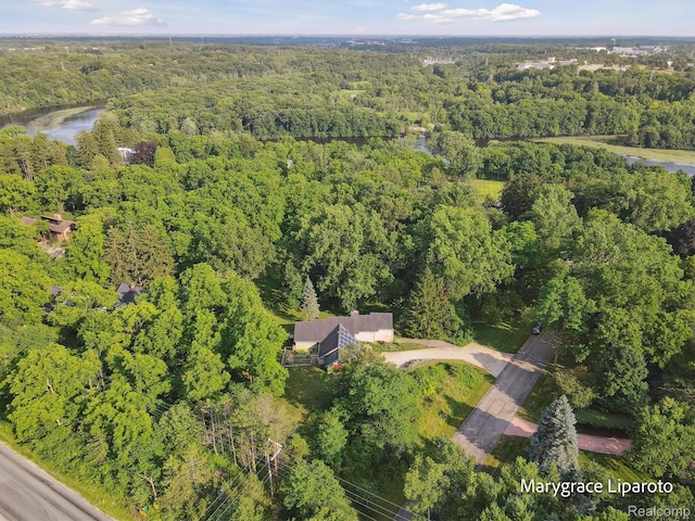 2172 Anns Way, Ann Arbor, MI 48105 - photo 57