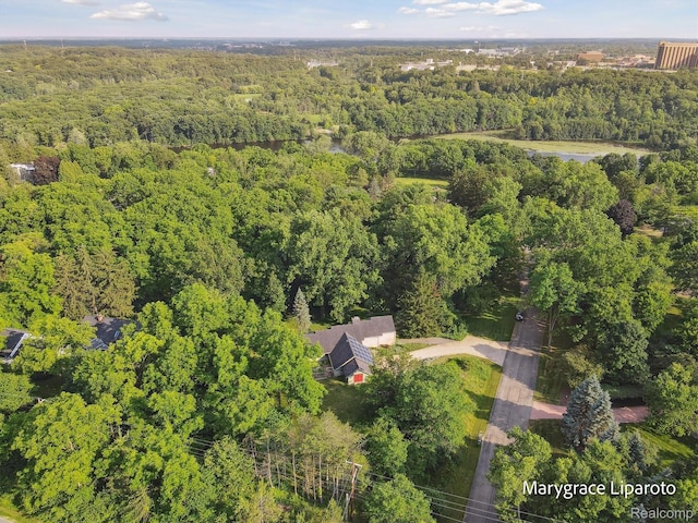 2172 Anns Way, Ann Arbor, MI 48105 - photo 61