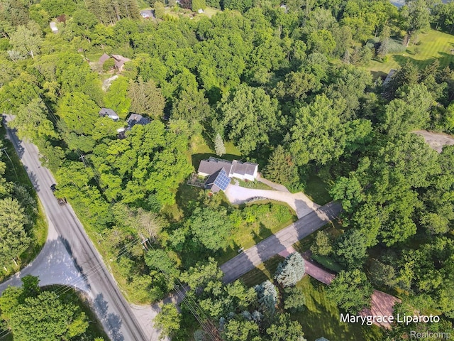 2172 Anns Way, Ann Arbor, MI 48105 - photo 52