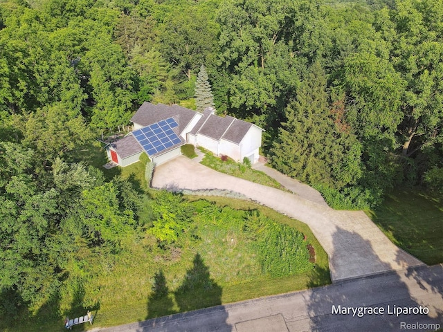 2172 Anns Way, Ann Arbor, MI 48105 - photo 60