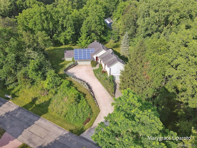 2172 Anns Way, Ann Arbor, MI 48105 - photo 62