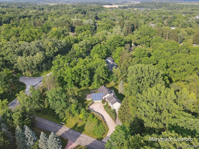 2172 Anns Way, Ann Arbor, MI 48105 - photo 55
