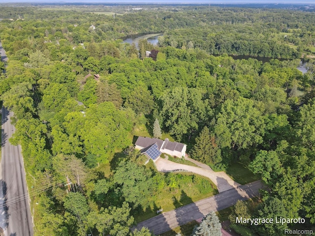 2172 Anns Way, Ann Arbor, MI 48105 - photo 59