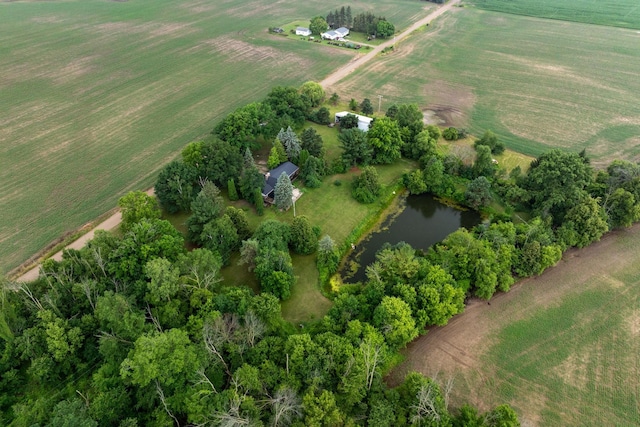 6801 E Hovey Rd, Rosebush, MI 48878 - photo 10