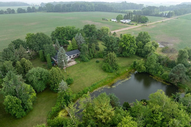 6801 E Hovey Rd, Rosebush, MI 48878 - photo 14