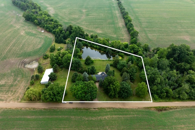 6801 E Hovey Rd, Rosebush, MI 48878 - photo 41