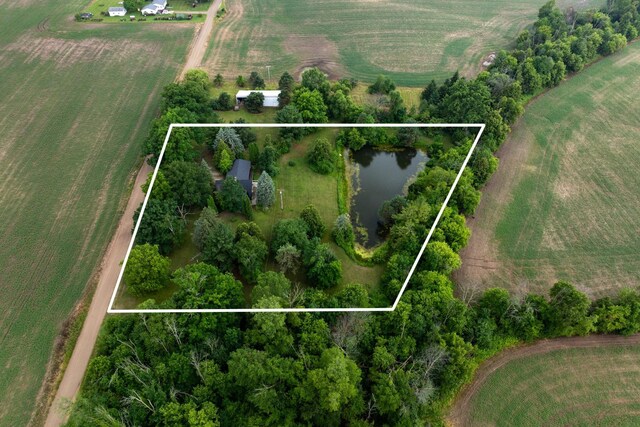 6801 E Hovey Rd, Rosebush, MI 48878 - photo 42