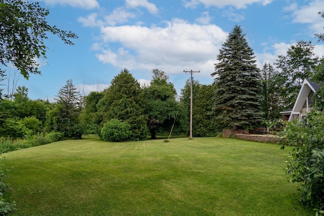 6801 E Hovey Rd, Rosebush, MI 48878 - photo 9