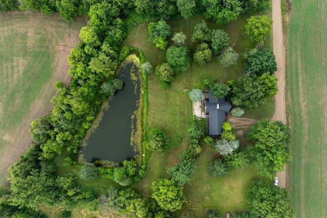 6801 E Hovey Rd, Rosebush, MI 48878 - photo 11