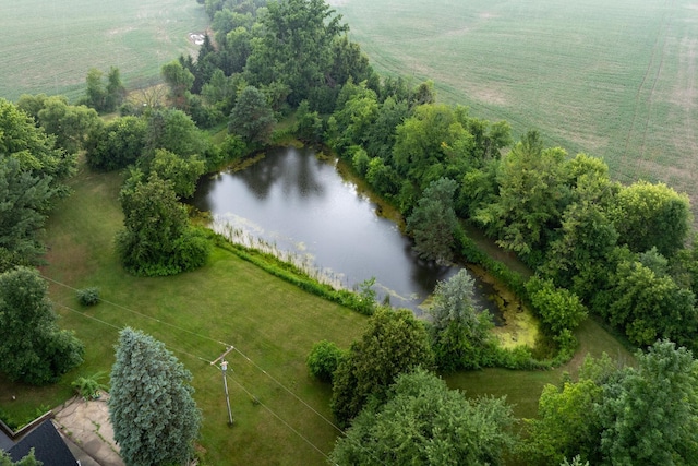 6801 E Hovey Rd, Rosebush, MI 48878 - photo 15