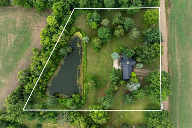6801 E Hovey Rd, Rosebush, MI 48878 - photo 43