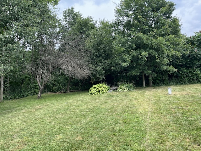 6612 S Ferris Ave, Newaygo, MI 49337 - photo 6