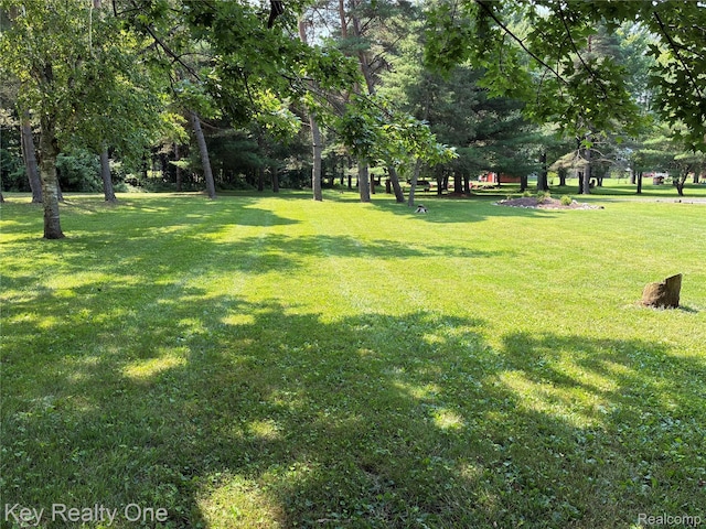 1000 W Predmore Rd, Oakland, MI 48363 - photo 66