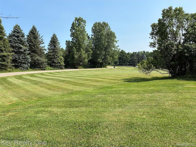 1000 W Predmore Rd, Oakland, MI 48363 - photo 68