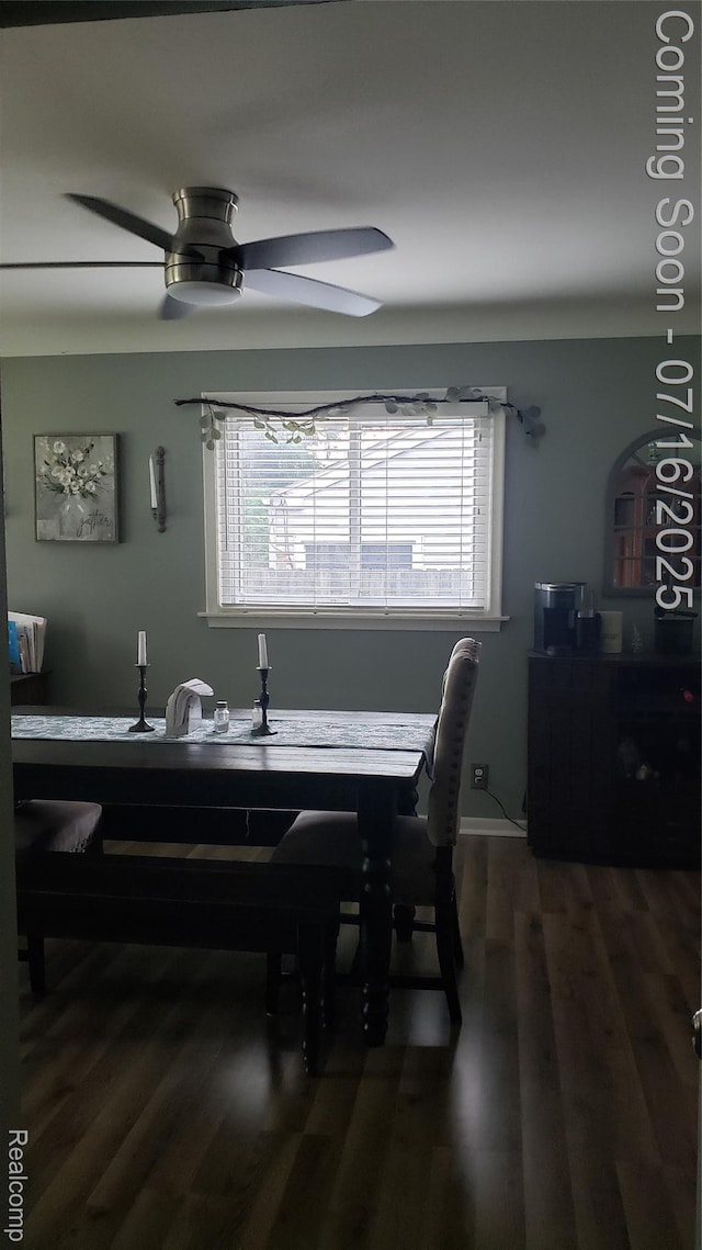 27315 Gilbert Dr, Warren, MI 48093 - dining room featuring plenty of natural light, wood finished floors, and a ceiling fan