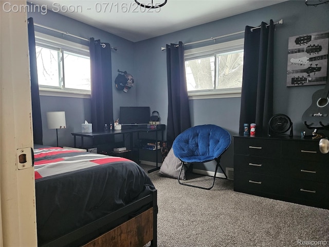 27315 Gilbert Dr, Warren, MI 48093 - view of carpeted bedroom