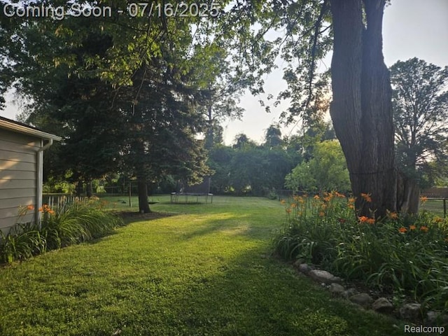 27315 Gilbert Dr, Warren, MI 48093 - view of yard featuring a trampoline