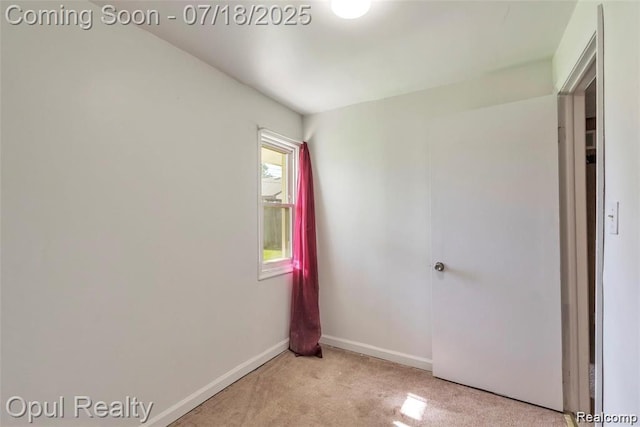 6835 Buck St, Brownstown, MI 48180 - photo 15
