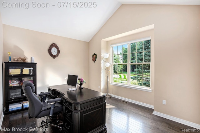 23395 Stoneleigh Ct, South Lyon, MI 48178 - office space featuring dark wood-style floors and vaulted ceiling