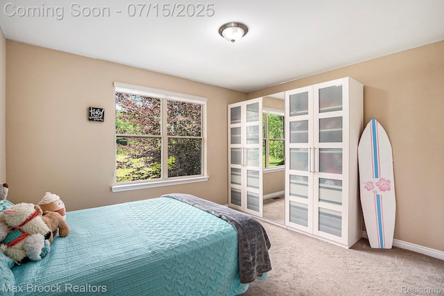 23395 Stoneleigh Ct, South Lyon, MI 48178 - bedroom featuring carpet flooring and baseboards