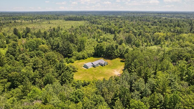 5321 S Jeffs Rd, Falmouth, MI 49632 - photo 39