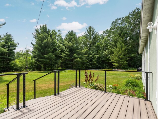 5321 S Jeffs Rd, Falmouth, MI 49632 - photo 29